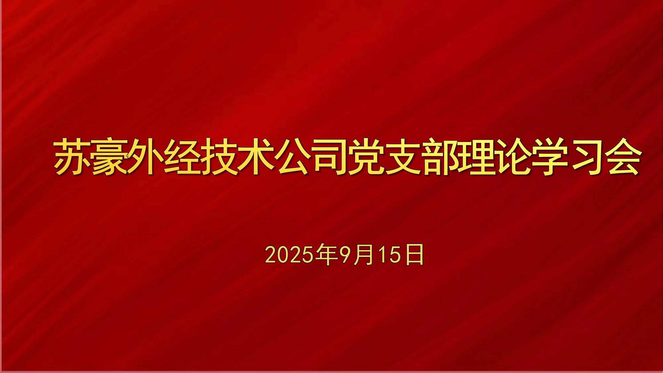 【外经新闻】苏豪控股集团副总裁、党委委员蒋成效列席旁听苏豪外经技术公司党支部理论学习会